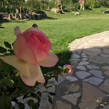 Bed & Breakfast Maison Blum